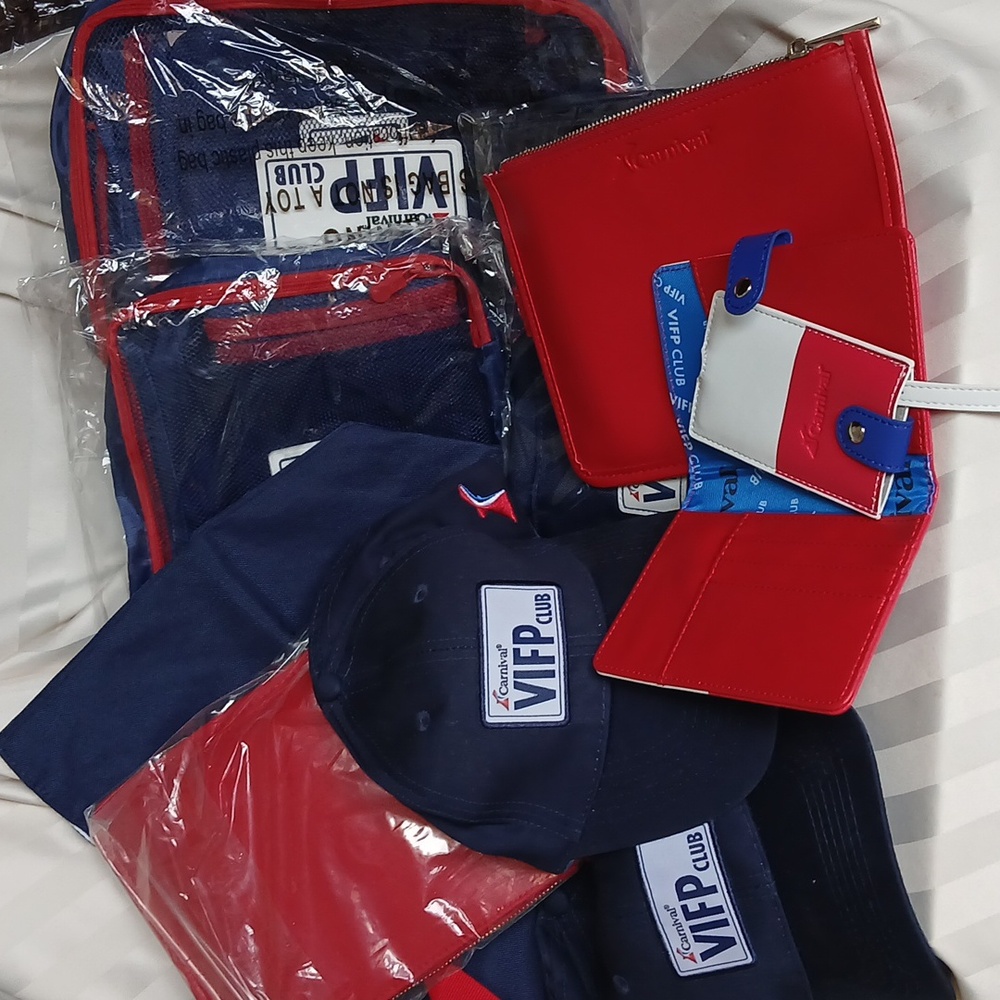 NEW Carnival Cruise 12-pc Loot: Hats, Wallets, Cubes,Tags Totes
